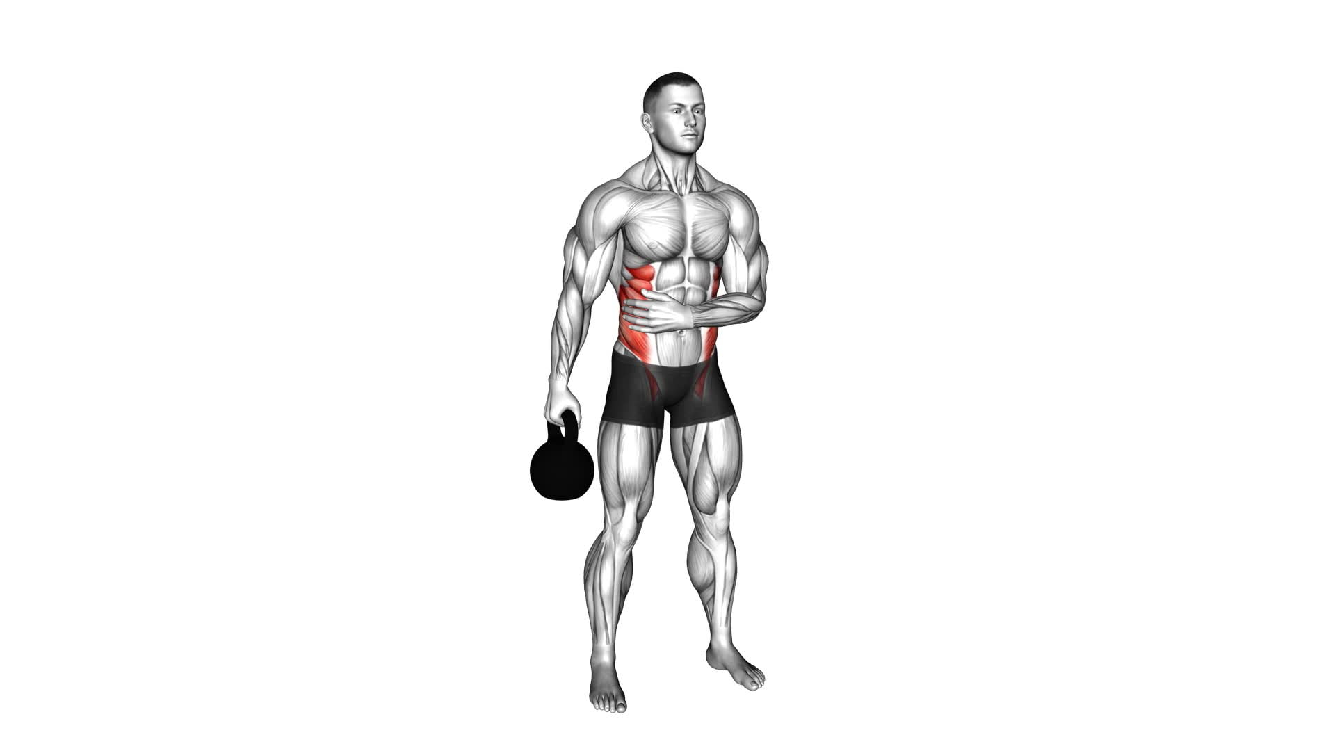 Kettlebell Suitcase Hold (male) - Video Exercise Guide & Tips
