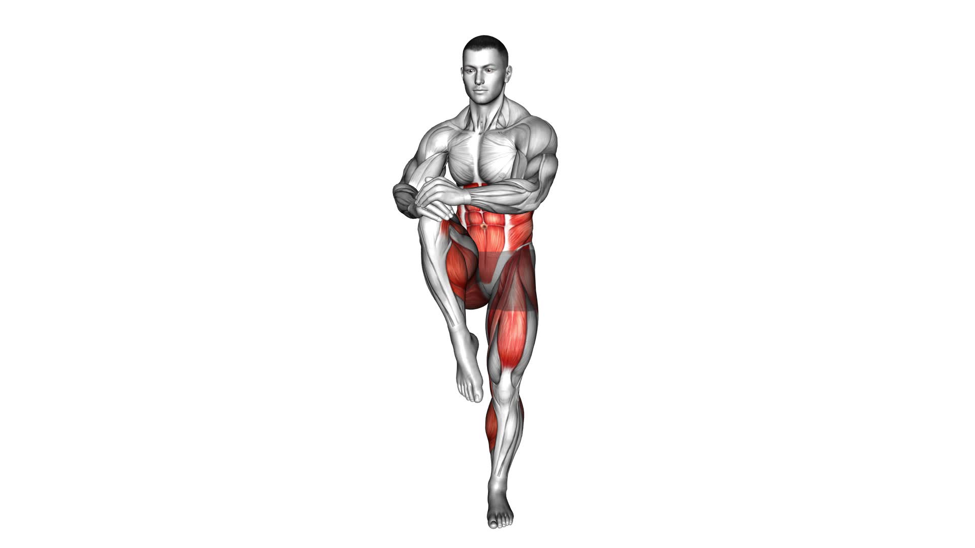 Knee Drive (male) - Video Exercise Guide & Tips