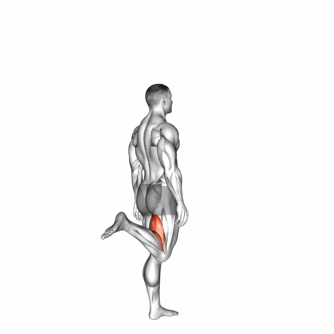 Knee - Flexion - Video Exercise Guide & Tips