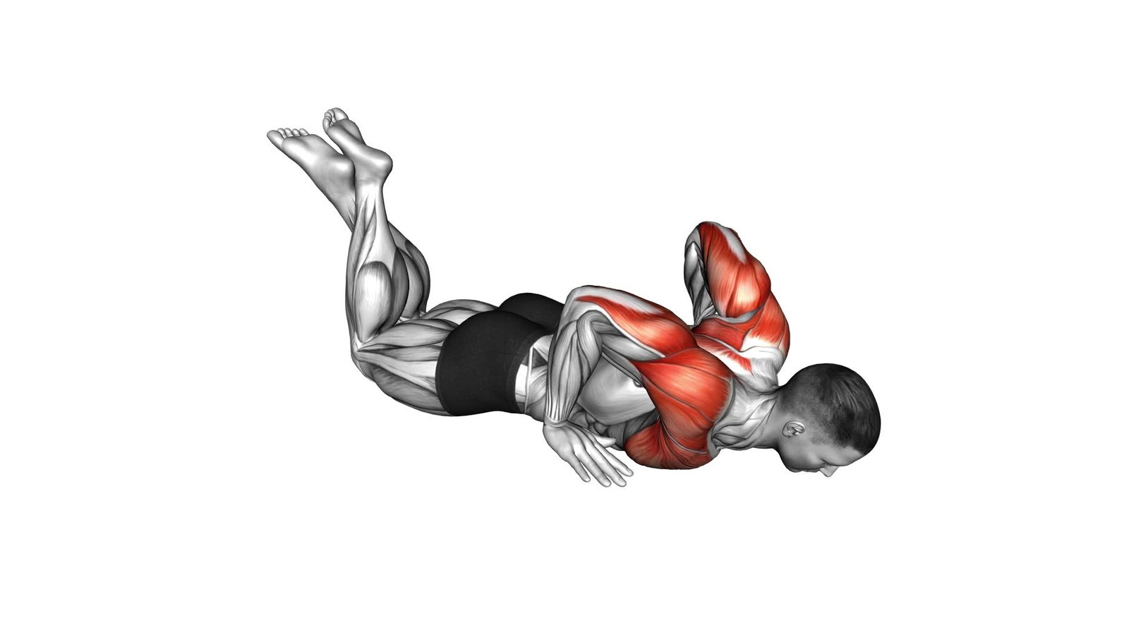 Knee Push-up Chest Pullback (male) - Video Exercise Guide & Tips