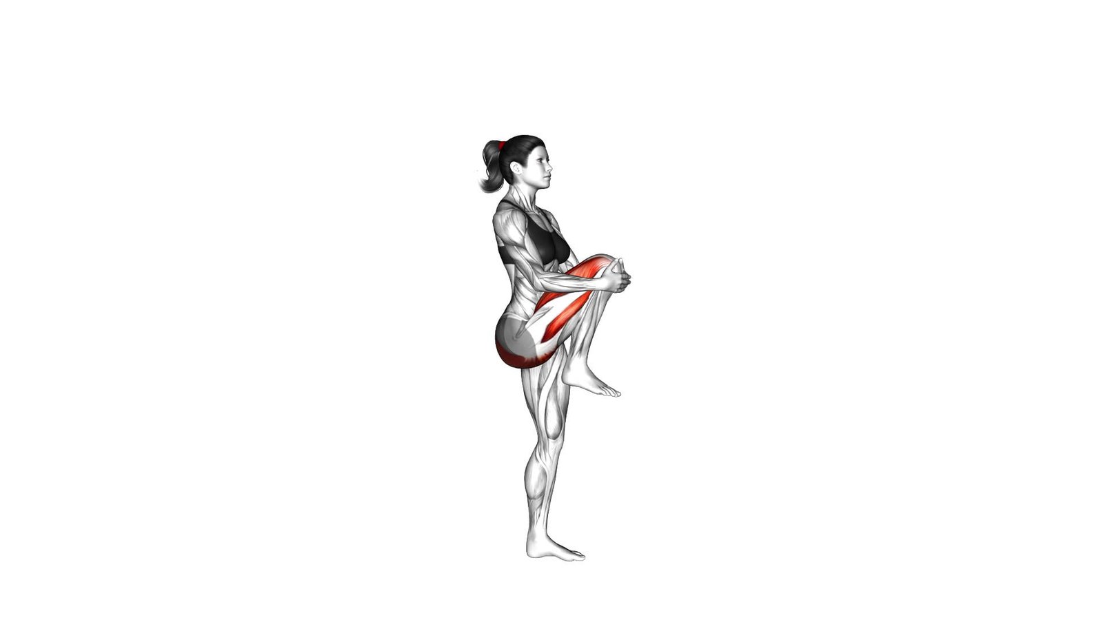 Knee Raise (female) - Video Exercise Guide & Tips