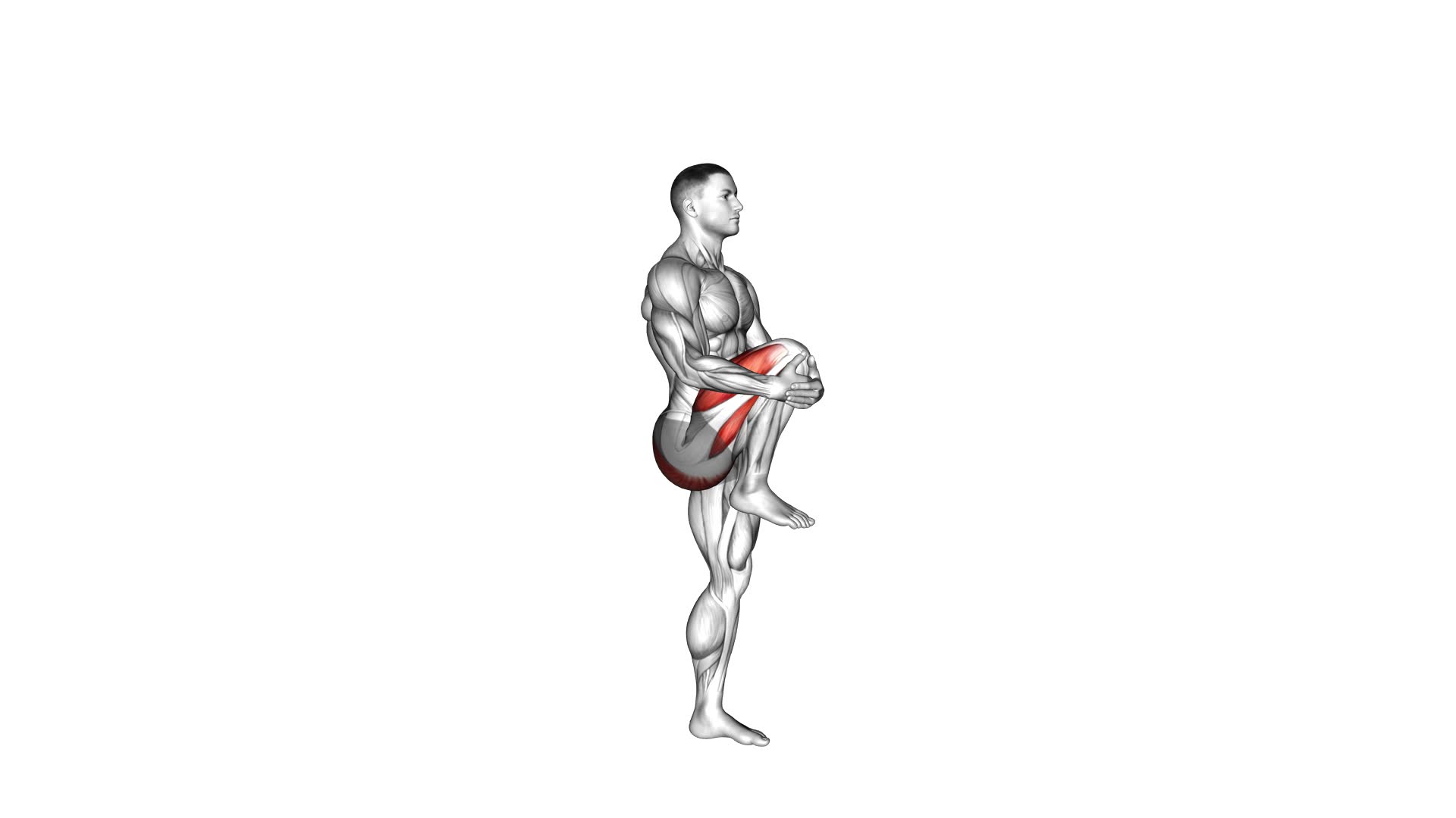 Knee Raise (male) - Video Exercise Guide & Tips