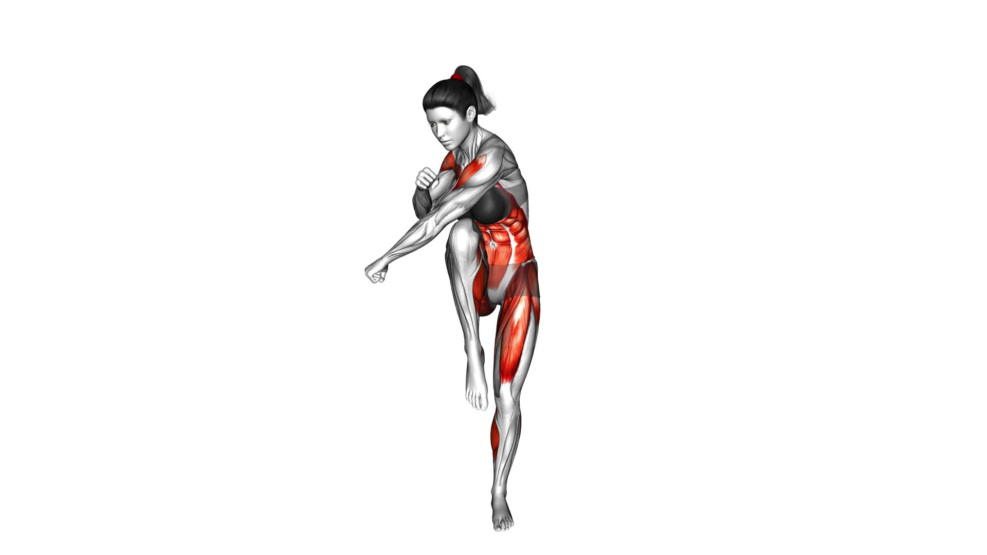 Knee Raise Side Jabs (female) - Video Exercise Guide & Tips