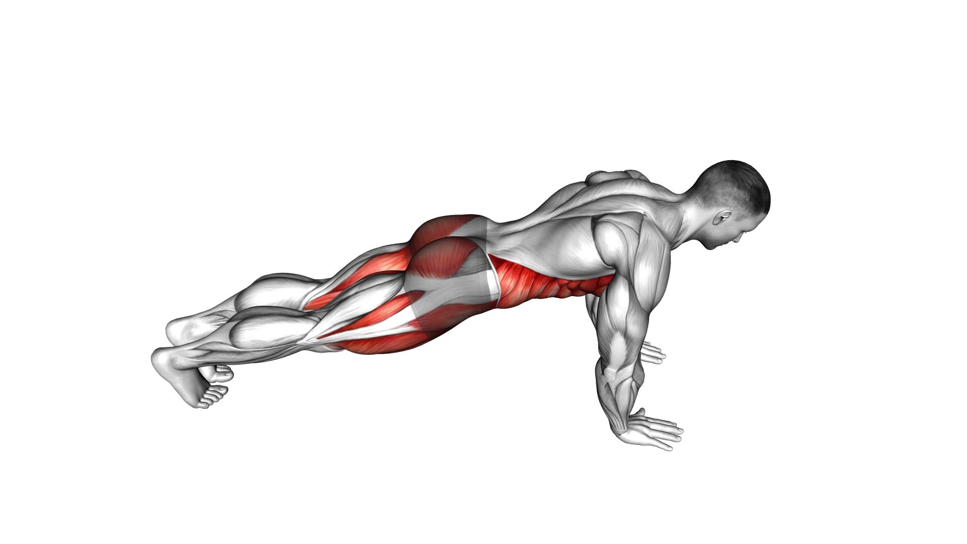 Knee To Elbow Touch Front Plank - Video Exercise Guide & Tips