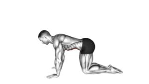 Kneeling Abdominal Draw-In - Video Exercise Guide & Tips