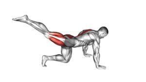 Kneeling Back Leg Lift - Video Exercise Guide & Tips