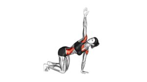 Kneeling Back Rotation Stretch (female) - Video Exercise Guide & Tips