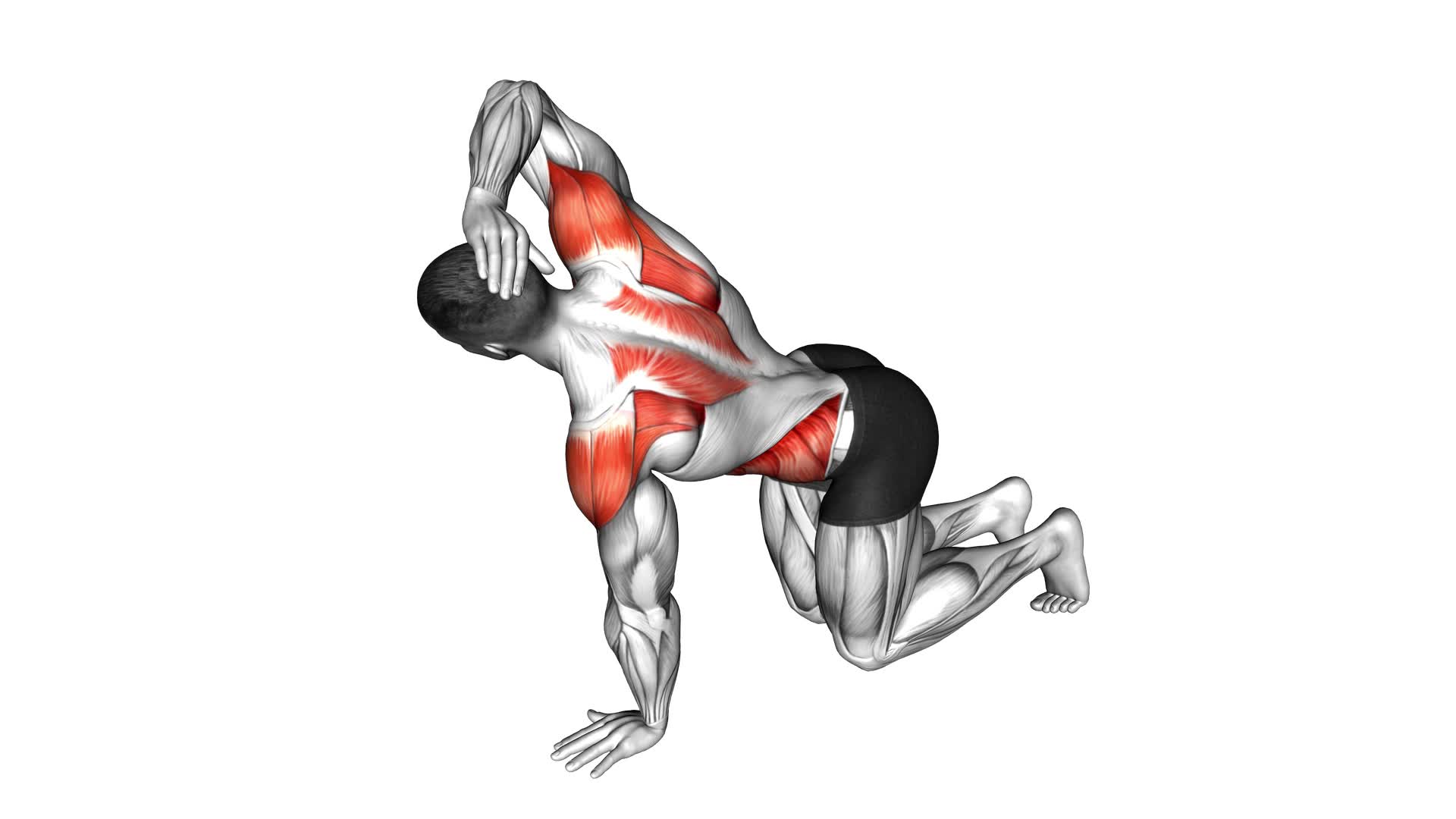 Kneeling Back Rotation - Video Exercise Guide & Tips