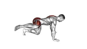 Kneeling Backward Hip Circles - Video Exercise Guide & Tips