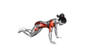 Kneeling Dynamic Plank (female) - Video Exercise Guide & Tips