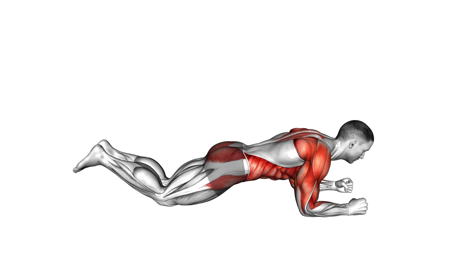 Kneeling Dynamic Plank (male) - Video Exercise Guide & Tips