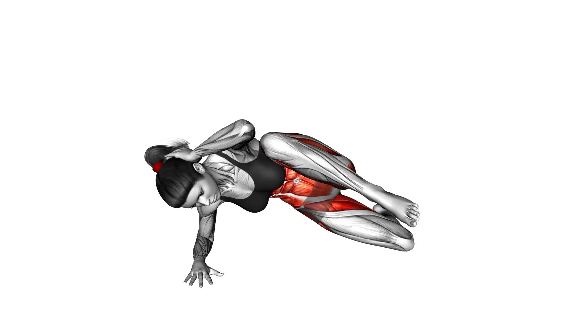 Kneeling Elbow to Knee Side Plank Crunch (female) - Video Exercise Guide & Tips