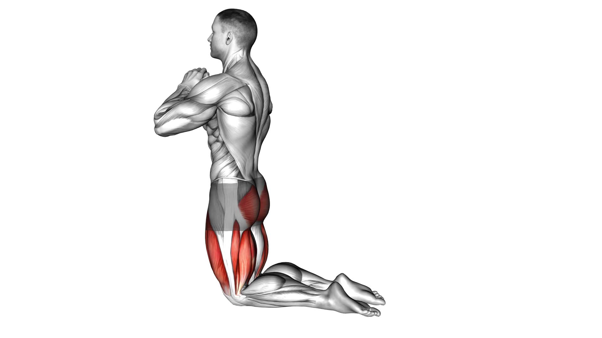 Kneeling Hip Thrust (male) - Video Exercise Guide & Tips