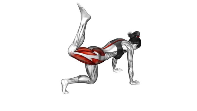 Kneeling Leg Circle Female Video Guide Tips For Effective Exercise