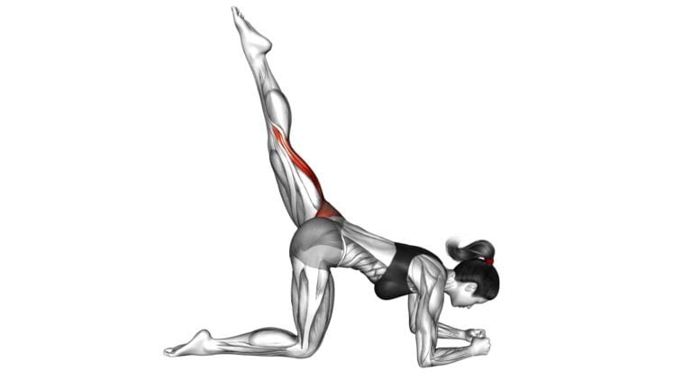Kneeling Leg Raise (Female): Video Guide & Tips For Effective Exercise