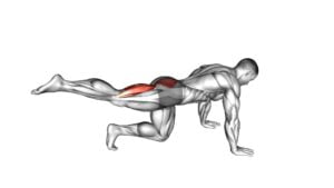 Kneeling Pulse (male) - Video Exercise Guide & Tips