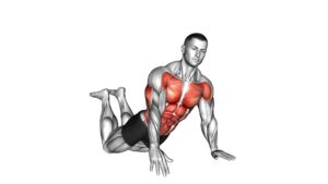 Kneeling Rotational Push Up - Video Exercise Guide & Tips