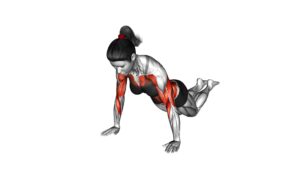 Kneeling Shoulder Tap (female) - Video Exercise Guide & Tips