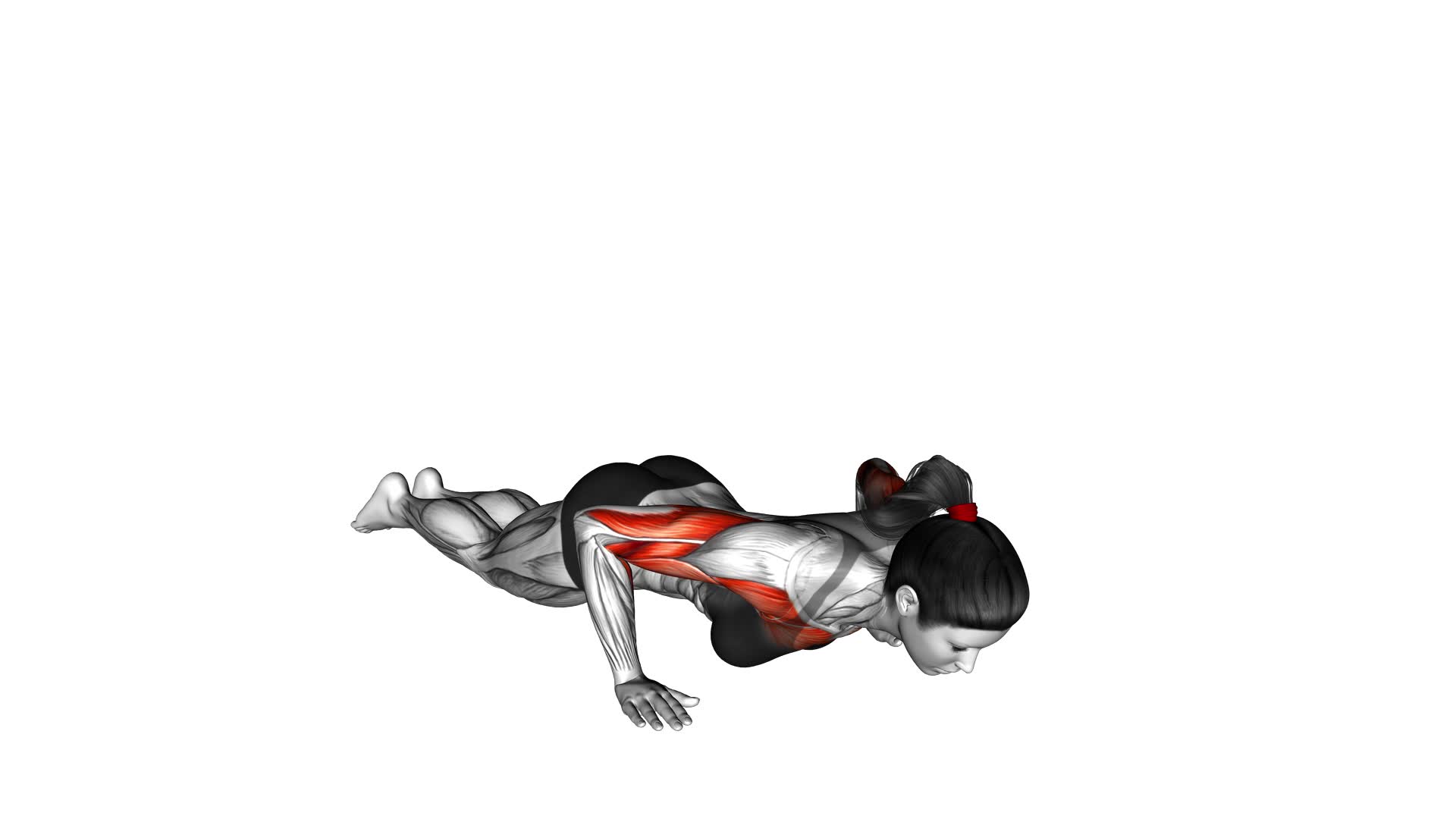 Kneeling Shoulder Tap Push-up (female) - Video Exercise Guide & Tips