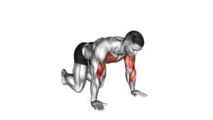 Kneeling Shoulder Tap - Video Exercise Guide & Tips