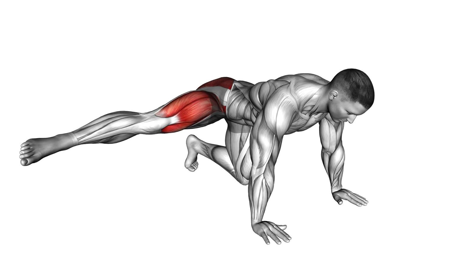 Kneeling Side Leg to Kick (male) - Video Exercise Guide & Tips