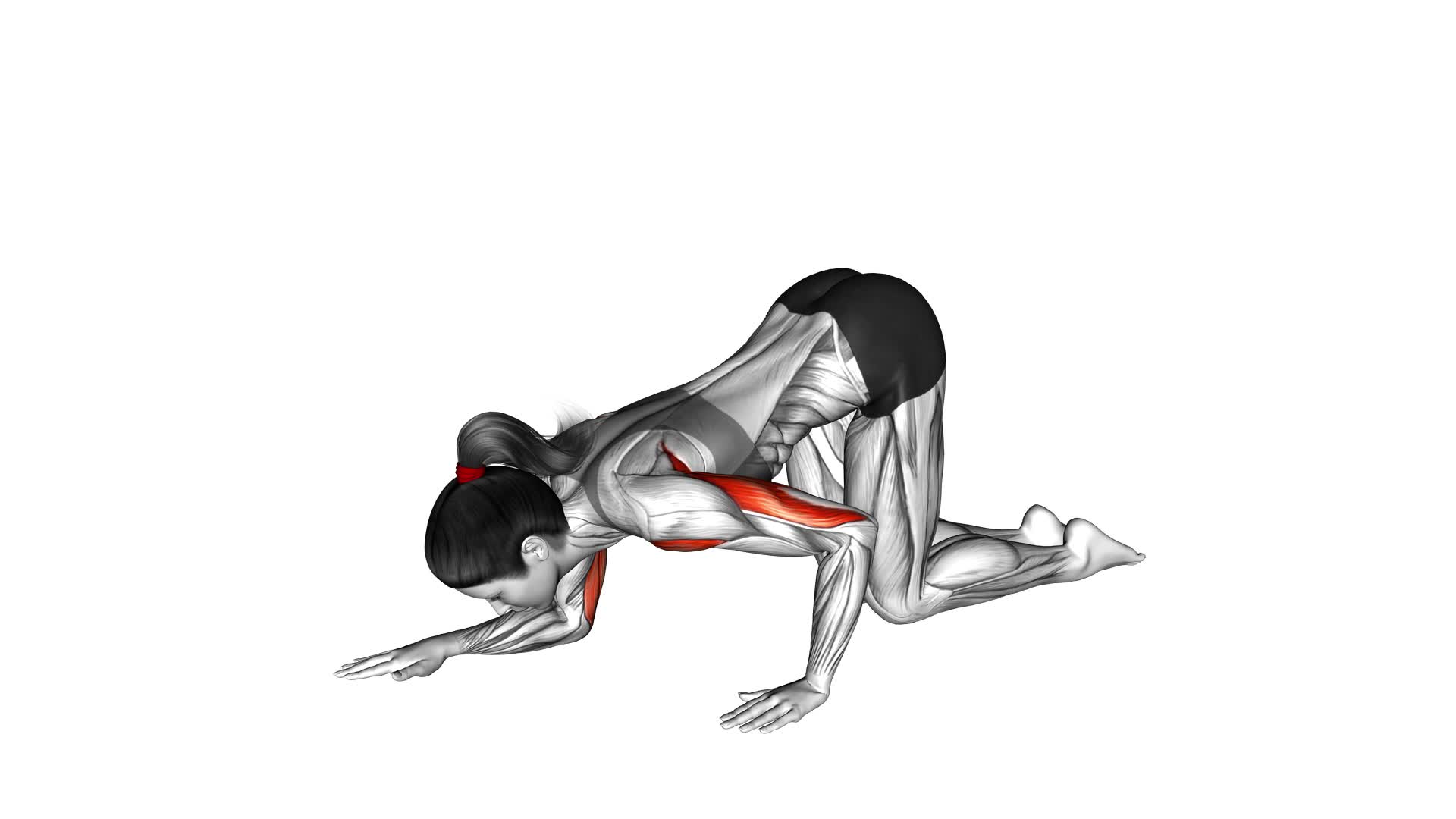 Kneeling Staggered Push-up (female) - Video Exercise Guide & Tips