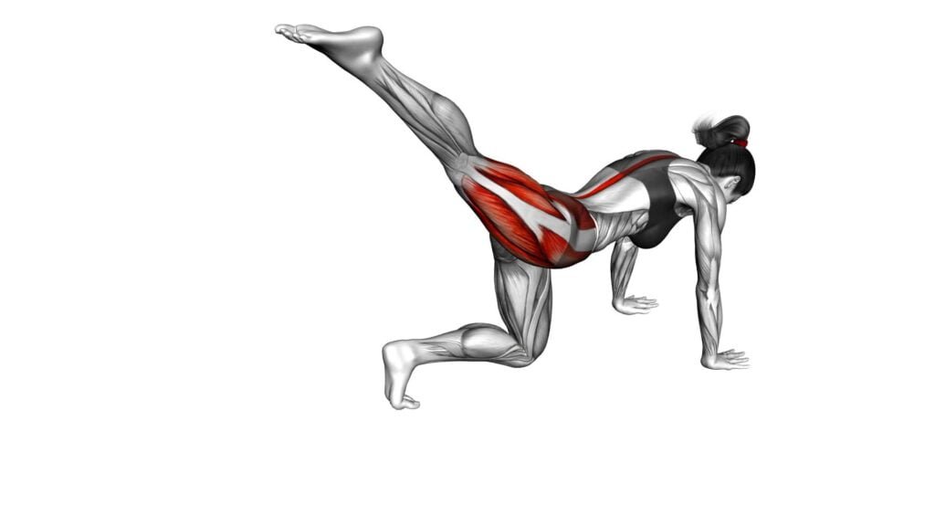 Kneeling Straight Leg Circle Female Video Guide Tips For Effective