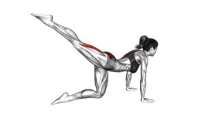 Kneeling Straight Leg Kickback (VERSION 2) (female) - Video Exercise Guide & Tips