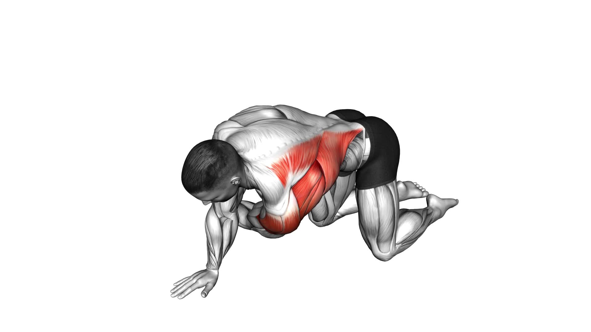 Kneeling T Spine Mobility - Video Exercise Guide & Tips