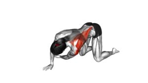 Kneeling Upper Back Rotation (female) - Video Exercise Guide & Tips