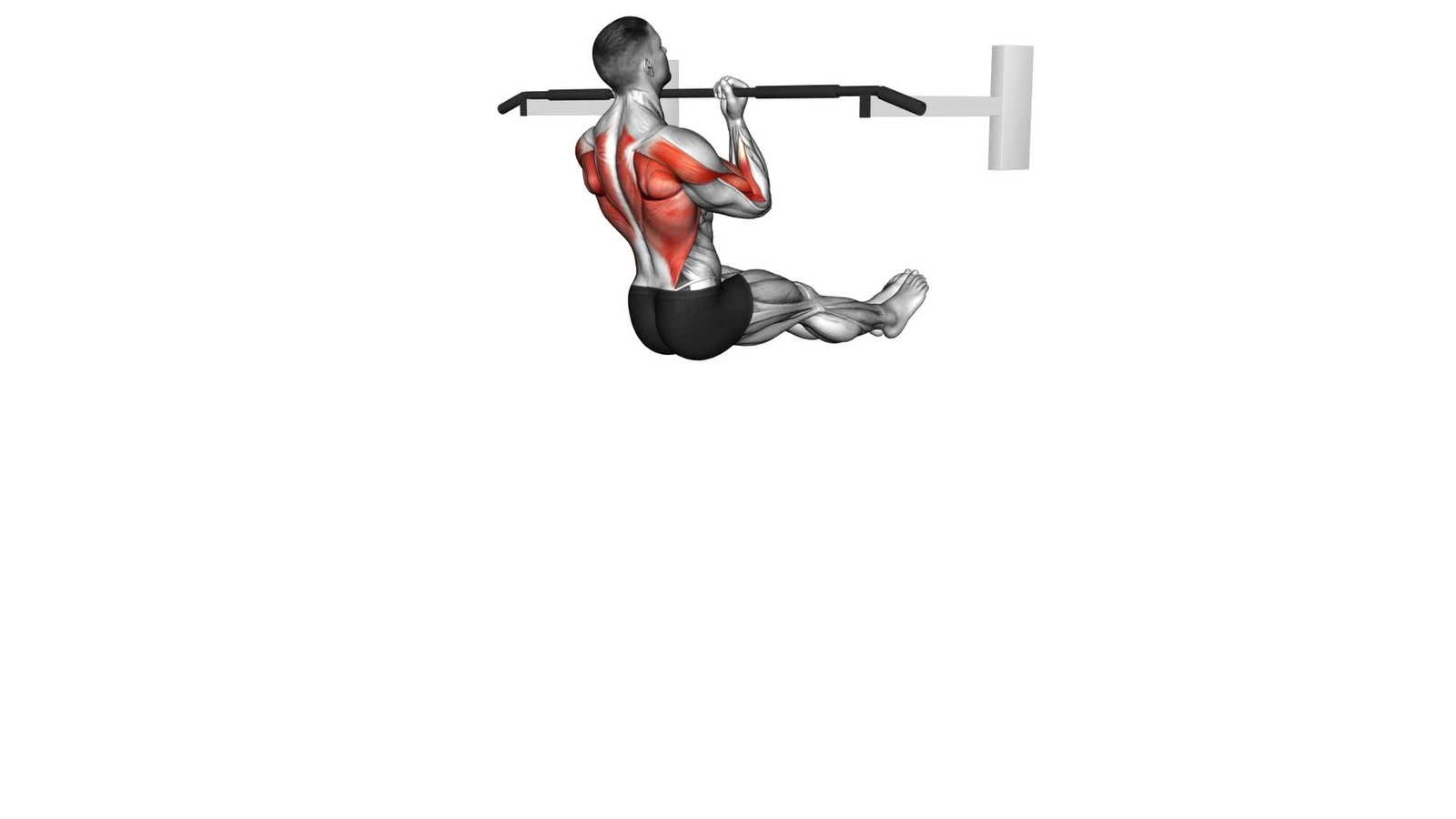 L Sit Chin-up (male) - Video Exercise Guide & Tips 1 L Sit Chin-up (male) - Video Exercise Guide & Tips