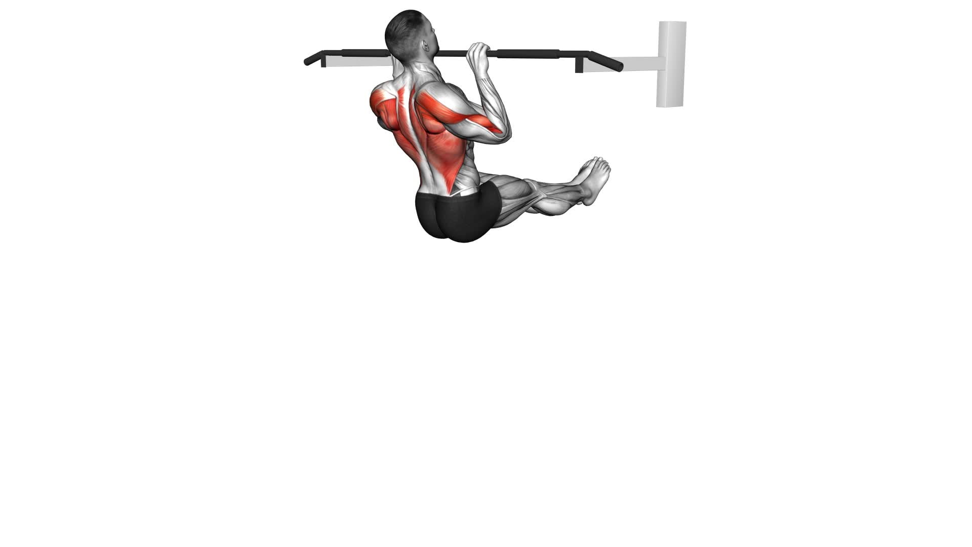 L Sit Pull-up (male) - Video Exercise Guide & Tips