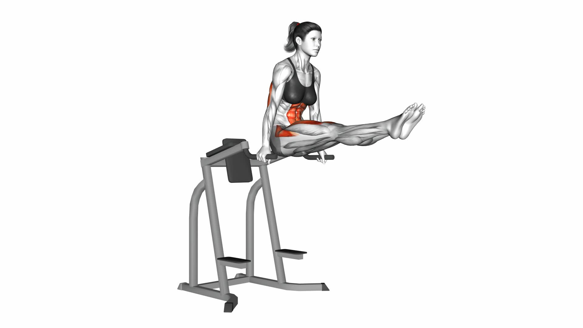 L-sit - Video Exercise Guide & Tips