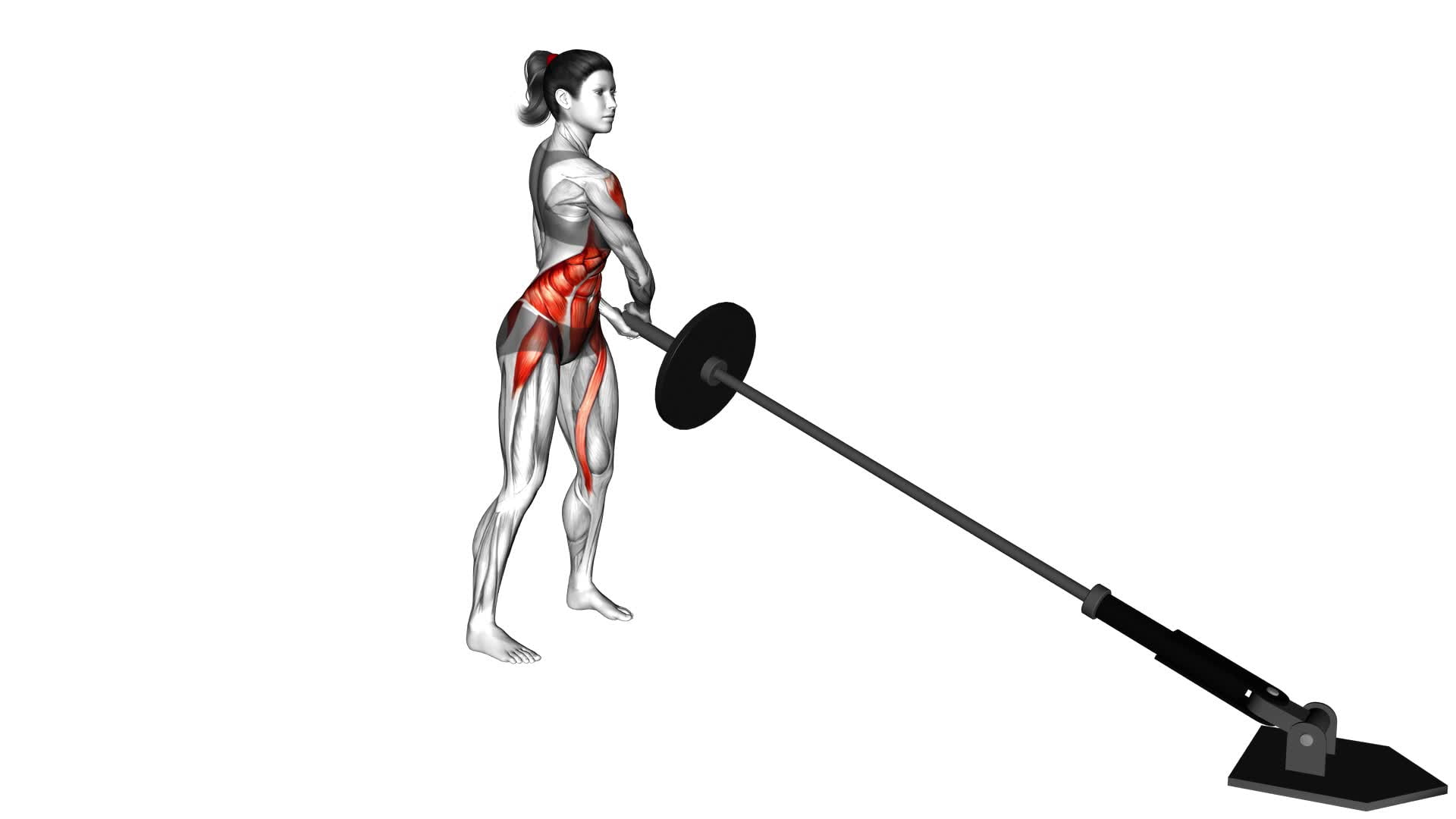 Landmine 180 (female) - Video Exercise Guide & Tips