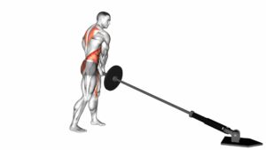 Landmine 180 - Video Exercise Guide & Tips