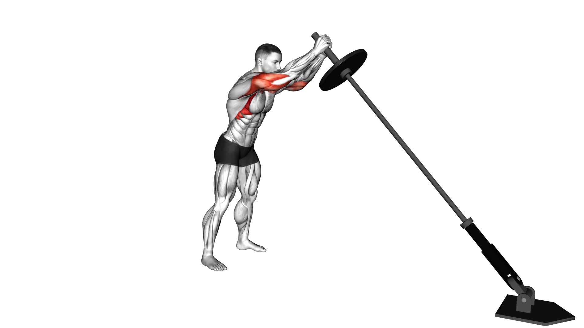 Landmine Press - Video Exercise Guide & Tips