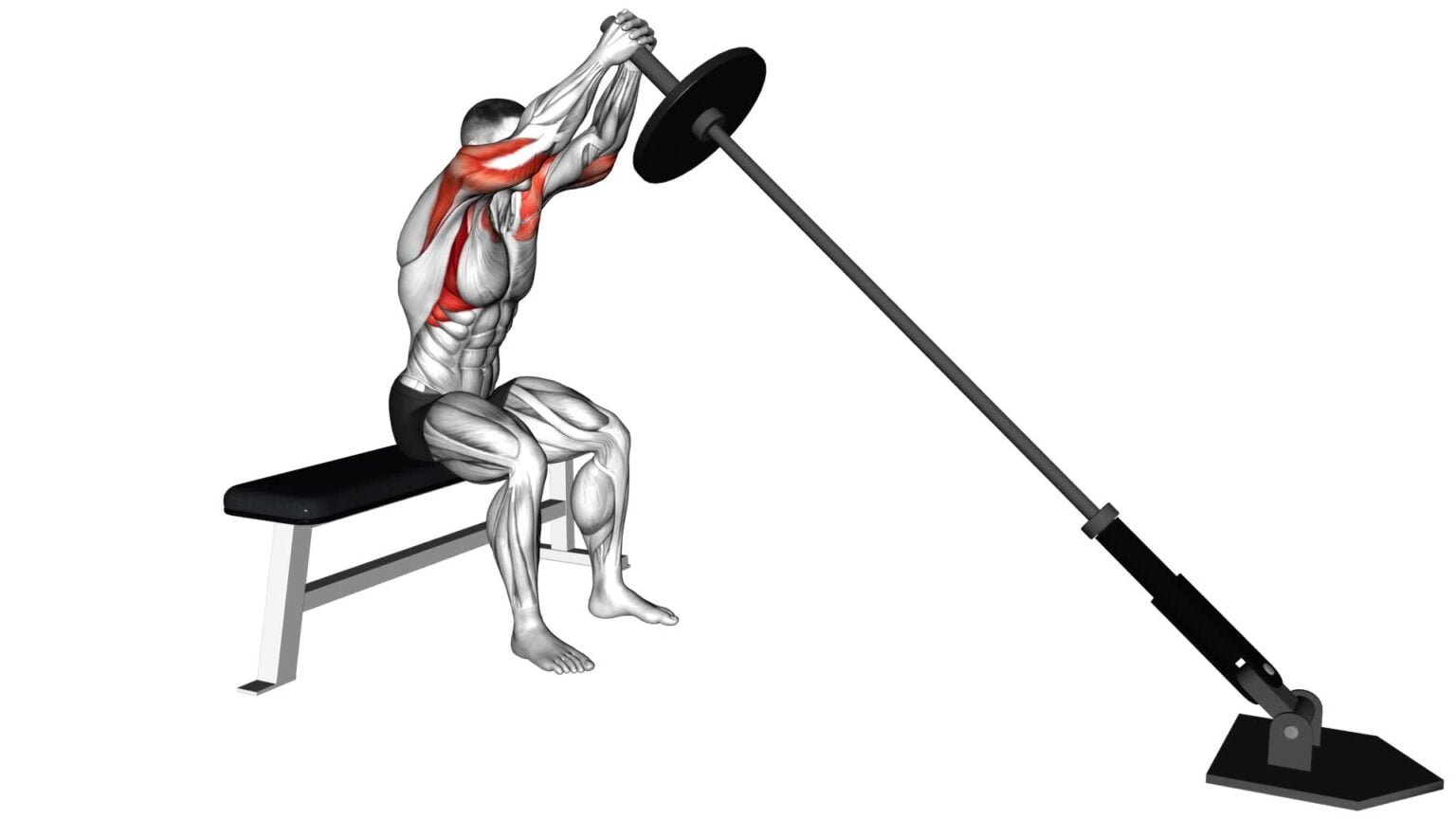 Landmine Press: Ultimate Video Guide & Tips For Effective Exercise