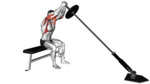 Landmine Seated Shoulder Press (male) - Video Exercise Guide & Tips