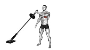 Landmine Single Arm Low Fly (male) - Video Exercise Guide & Tips