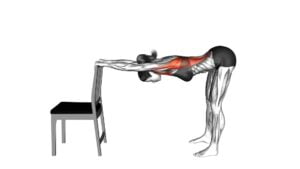 Lat Stretch With Chair (Female) - Video Exercise Guide & Tips