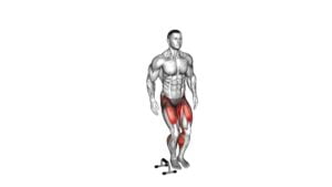 Lateral Hurdle Jump (male) - Video Exercise Guide & Tips