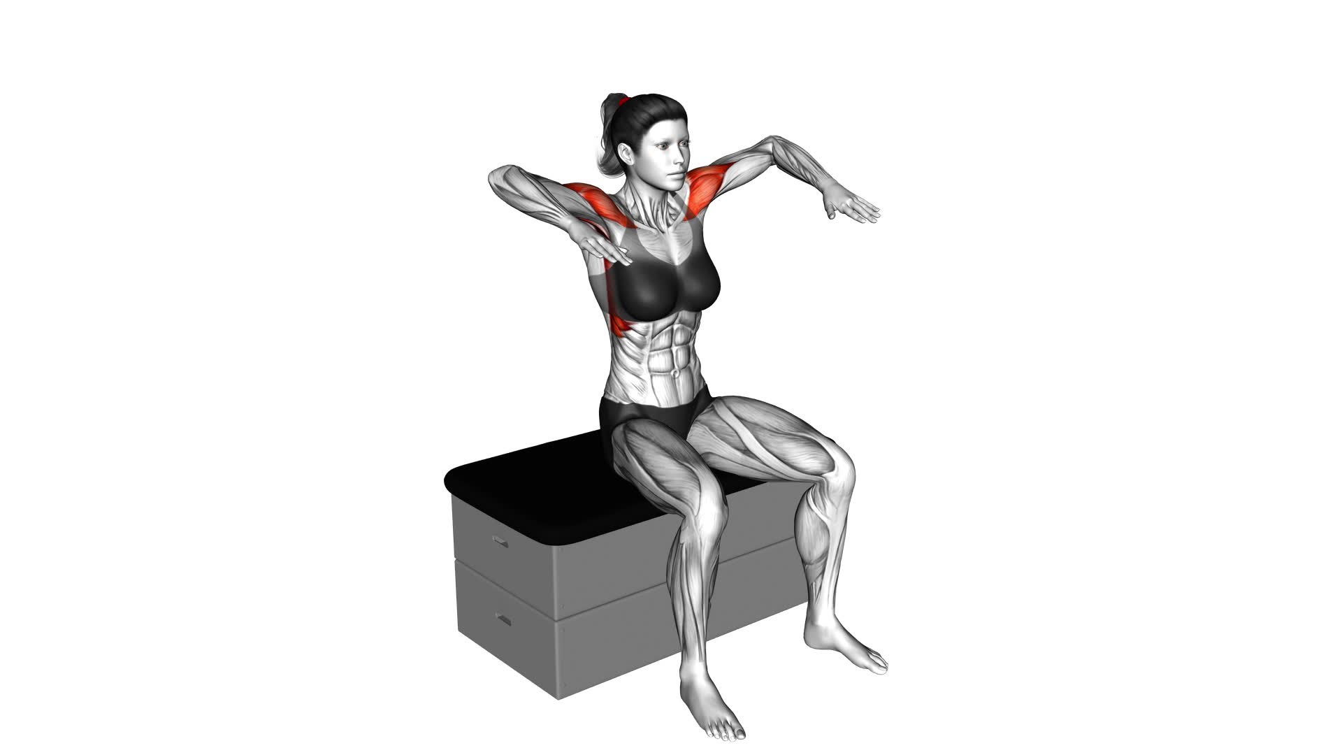 Lateral Raise (Bent Arms) (female) - Video Exercise Guide & Tips