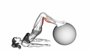 Leg Curl (On Stability Ball) - Video Exercise Guide & Tips