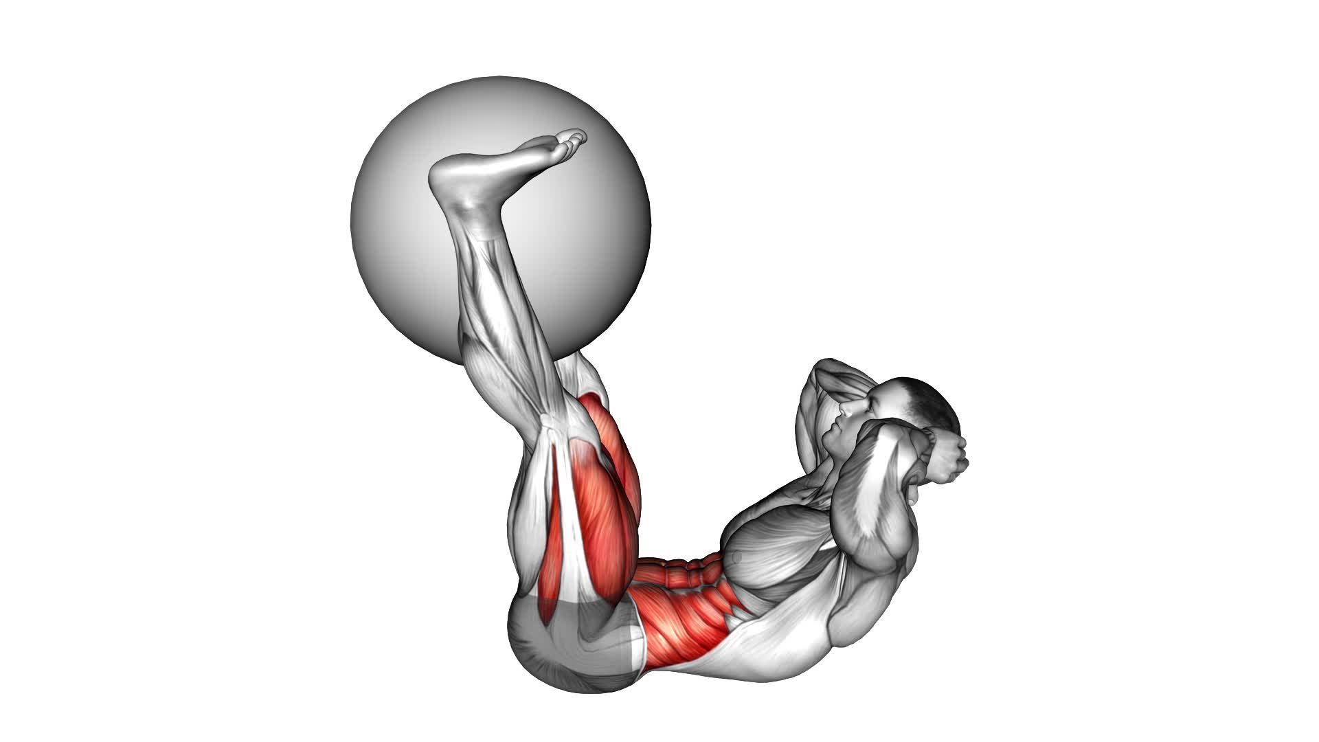 Leg Extension Crunch (with Stability Ball) (male) - Video Exercise Guide & Tips