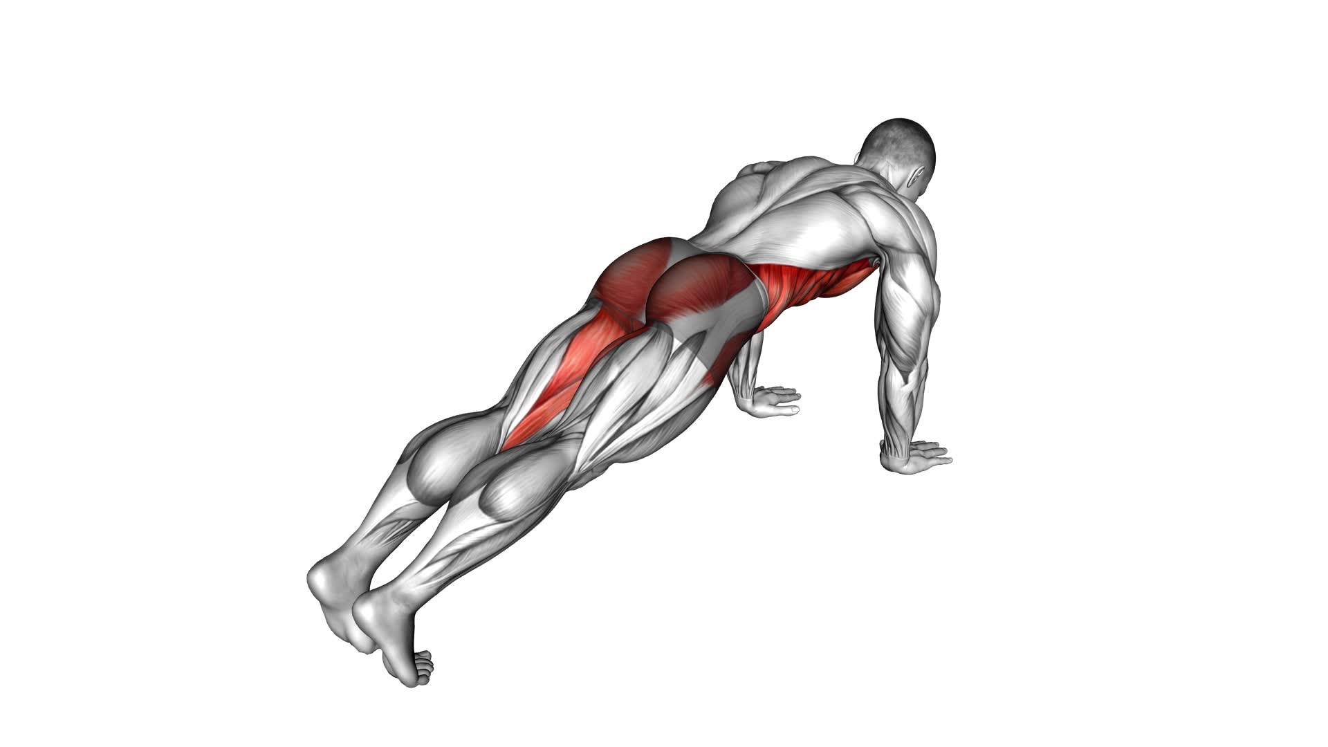 Leg Extension Plank - Video Exercise Guide & Tips