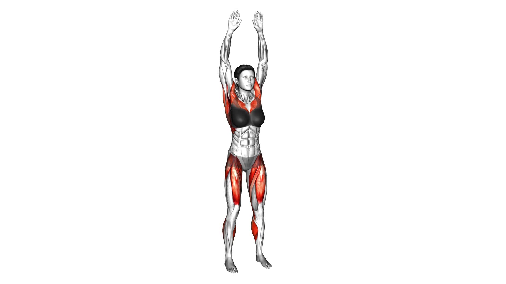 Leg Front Lift Jack (female) - Video Exercise Guide & Tips