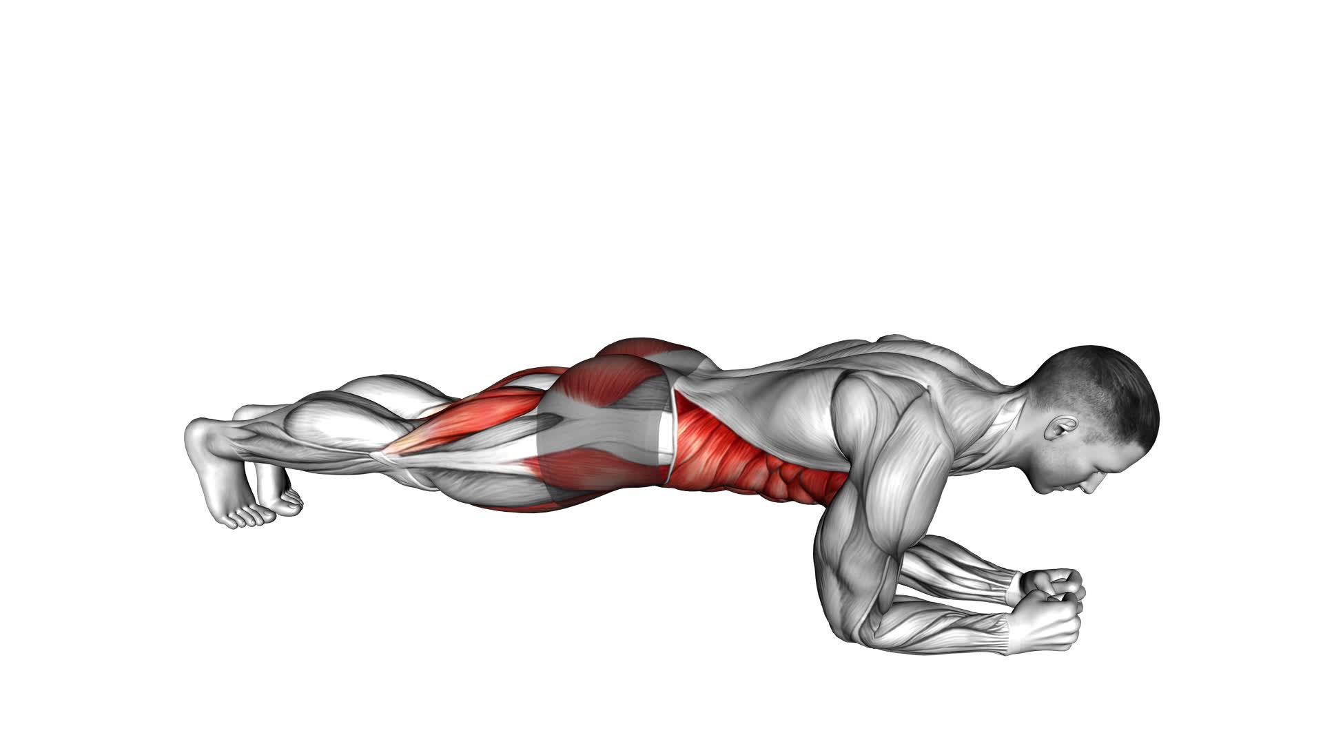 Leg Lift to Chest Front Plank - Video Exercise Guide & Tips