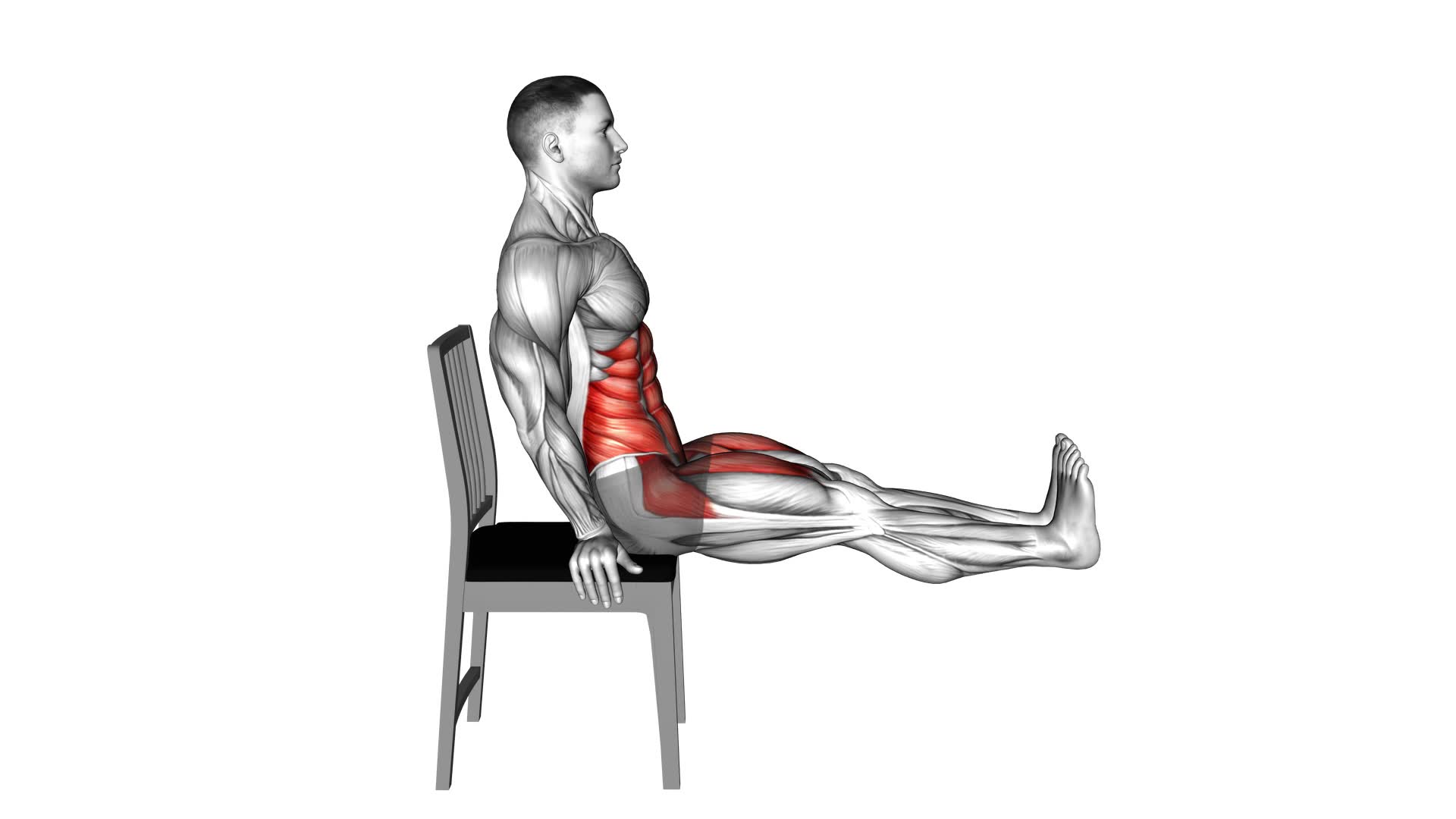 Leg Raises Hold on Chair (male) - Video Exercise Guide & Tips