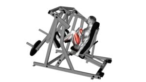 Lever Alternate Leg Press (Plate Loaded) - Video Exercise Guide & Tips