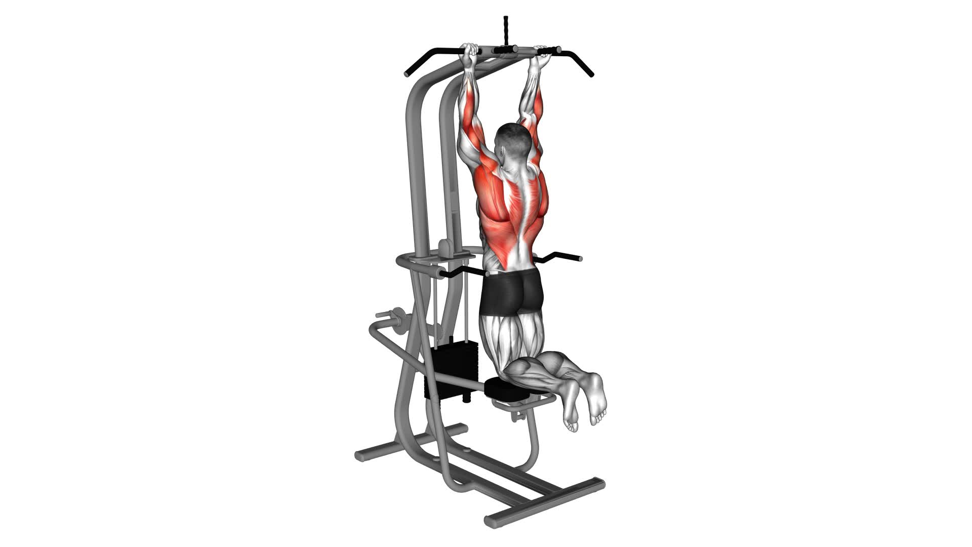 Lever Assisted Chin-up - Video Exercise Guide & Tips